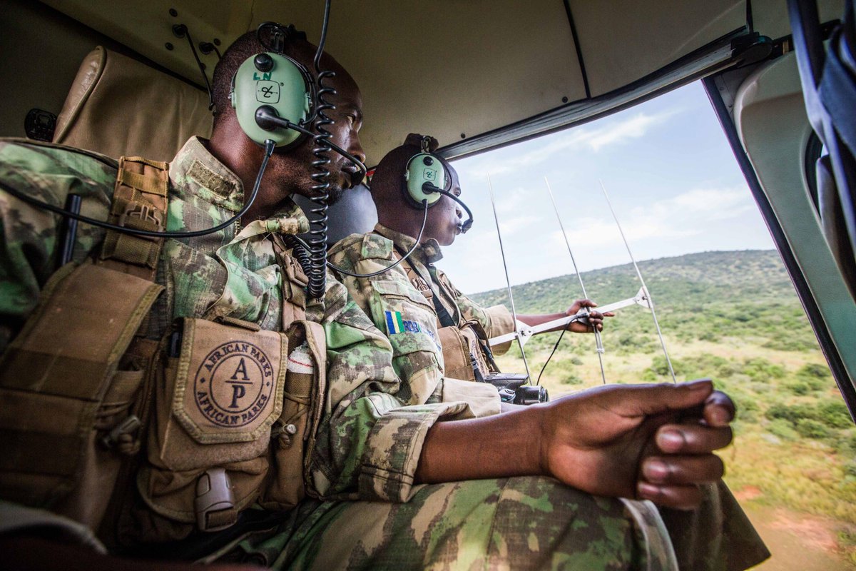 African Parks tweet media