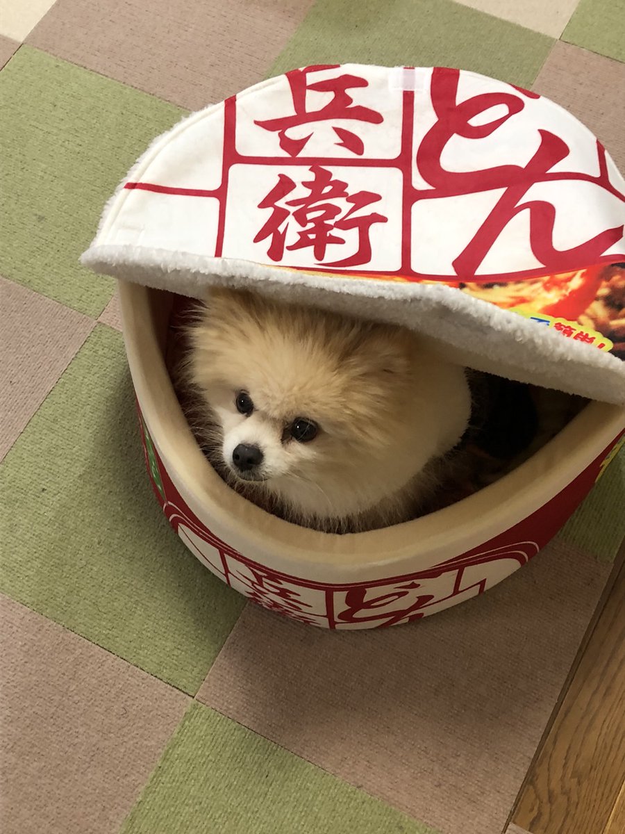 waruda15's tweet photo. 高級天ぷら https://t.co/uFm05Lu9Ci