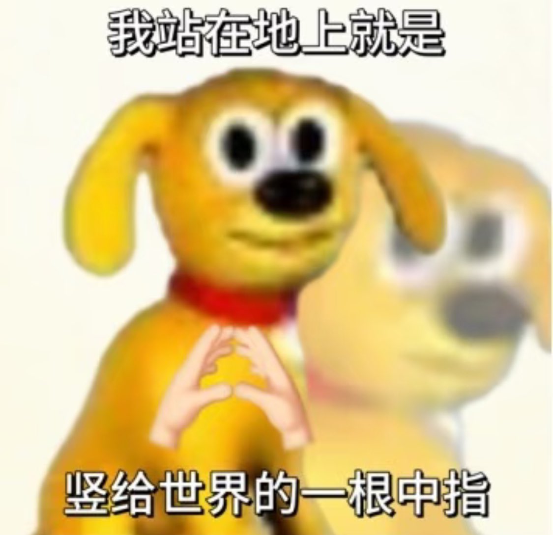 小羊不在天上飞 tweet media