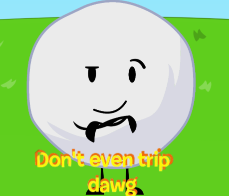 Snowball tweet media