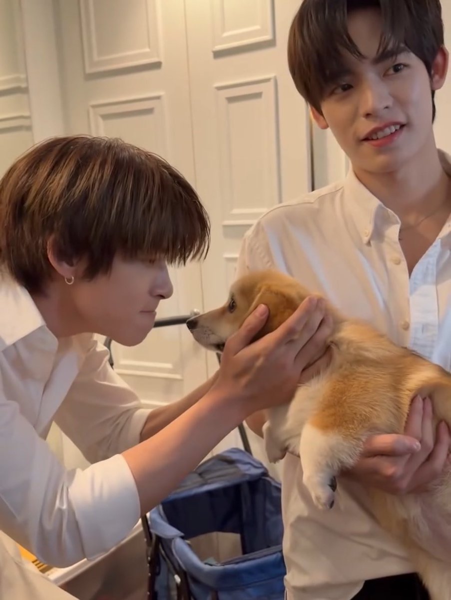 babiimondsoqt's tweet photo. ป๊าด้วงป๊าฉินหนูขนฟูทำรายอยุ่ ( ᴗ̥̥ .̼ ᴗ̥ ) https://t.co/BHZl5sxHmD