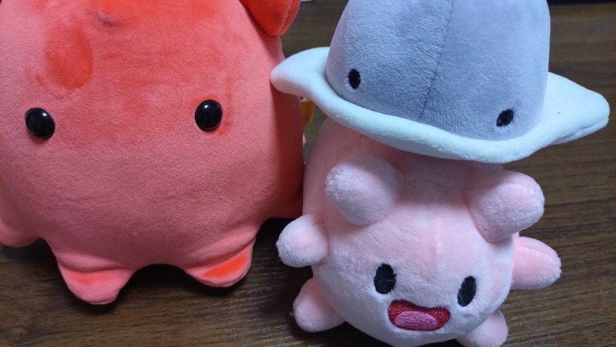 hr_nts23's tweet photo. ナマコリウムのナマコぬいぐるみ！
可愛い！我が家の海産物達との馴染みがいい感じだし
あとかわいい https://t.co/uQUVgLx51p