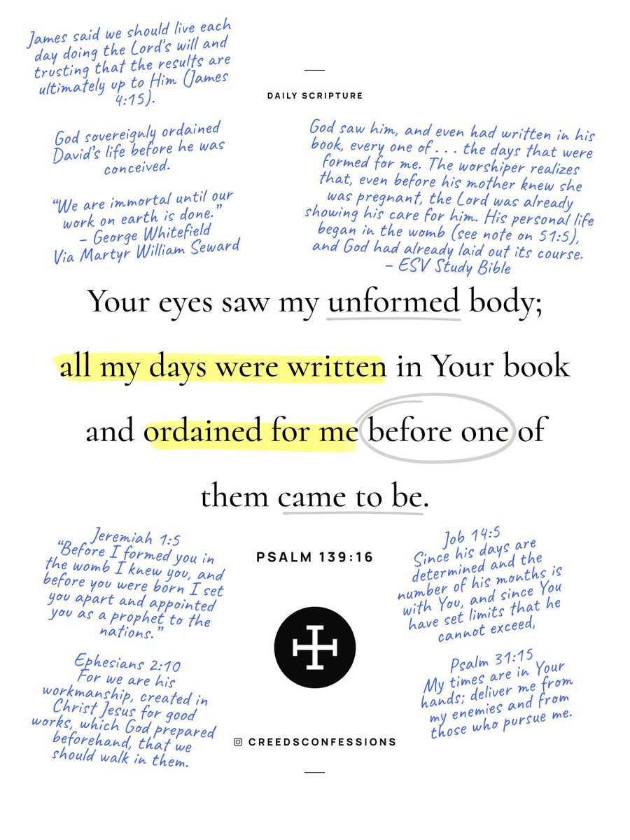 Creeds & Confessions tweet media