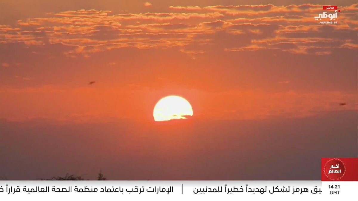 الإمارات تحتفي باليوم الدولي للتنوع البيولوجي وتقدم نموذجاً رائداً في حماية البيئة. تقرير: عائشة العوضي #مركز_الاتحاد_للأخبار 