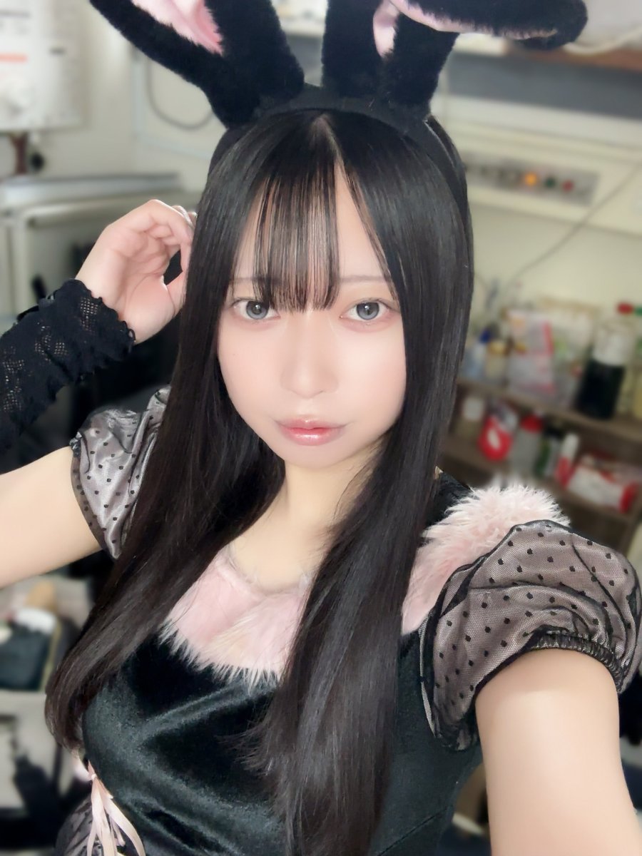 au_mofru's tweet photo. います〜〜〜

うさぎさん！ぴょん(^｡^)♡ https://t.co/n4egUUMNWv