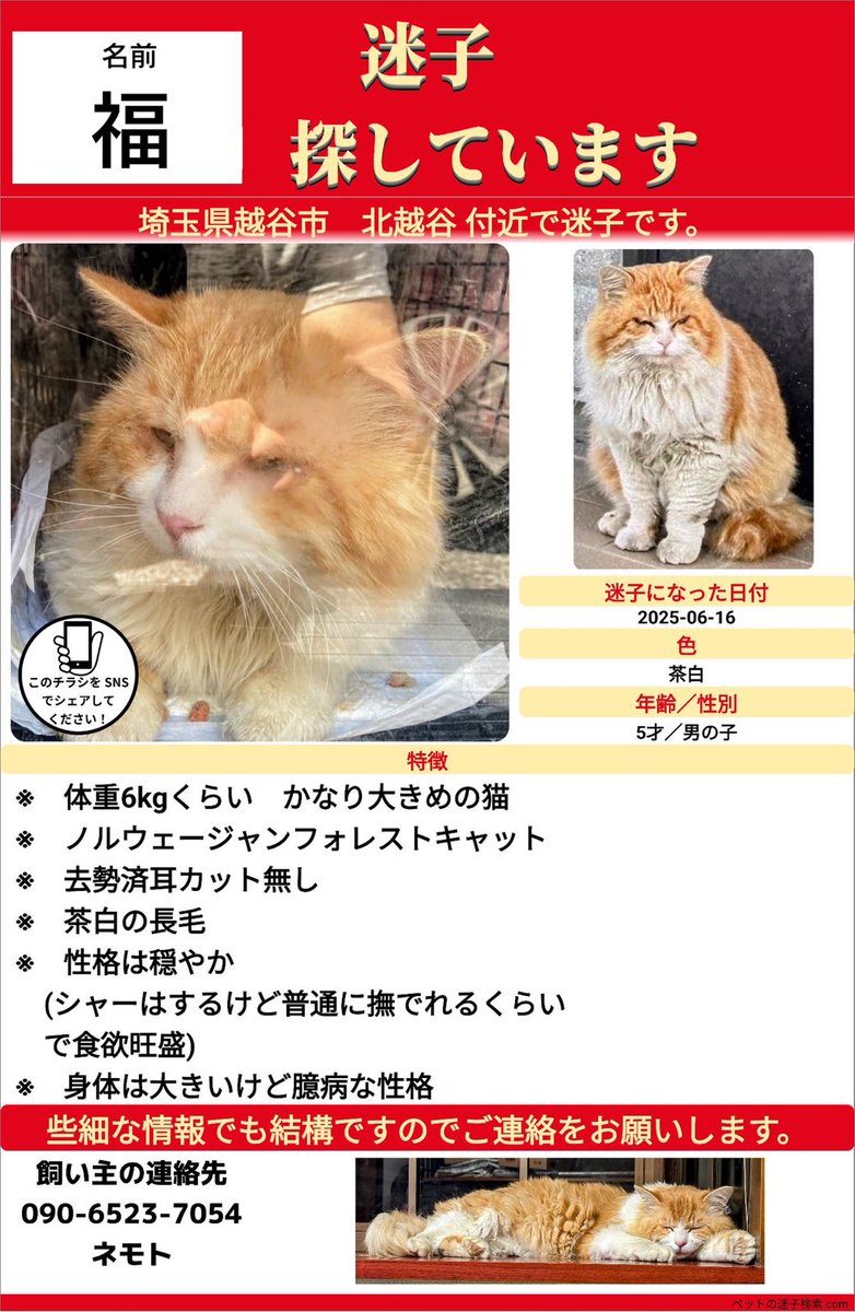 花子🐴😸🐶(名前変更しました) tweet media