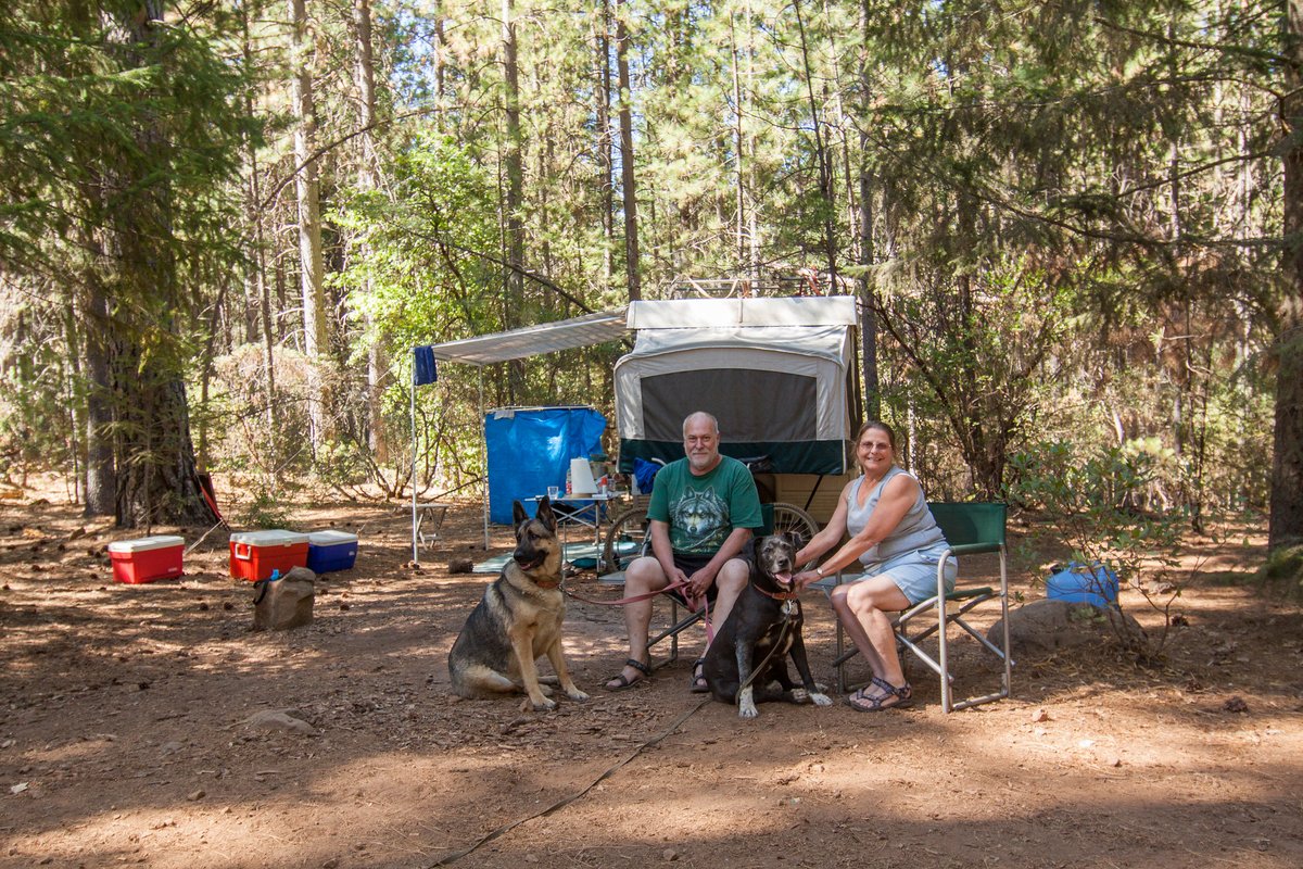 State Foresters tweet media