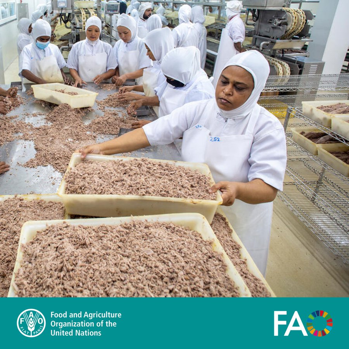FAOWHOCodex's tweet photo. 📝 | Ensuring the safety of our food from farm to fork requires a collaborative and comprehensive approach.

👉What is the #OneHealth approach to food safety❓

➕ℹ️➡️ https://t.co/Bt2kfTiTla

#FoodSafety https://t.co/oekffaPnQZ
