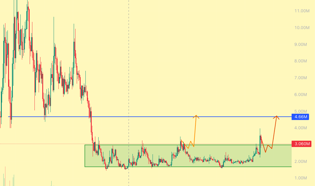 @MaxamedCrypto ayaa tweet muhiim ah ka qoray $LOL
