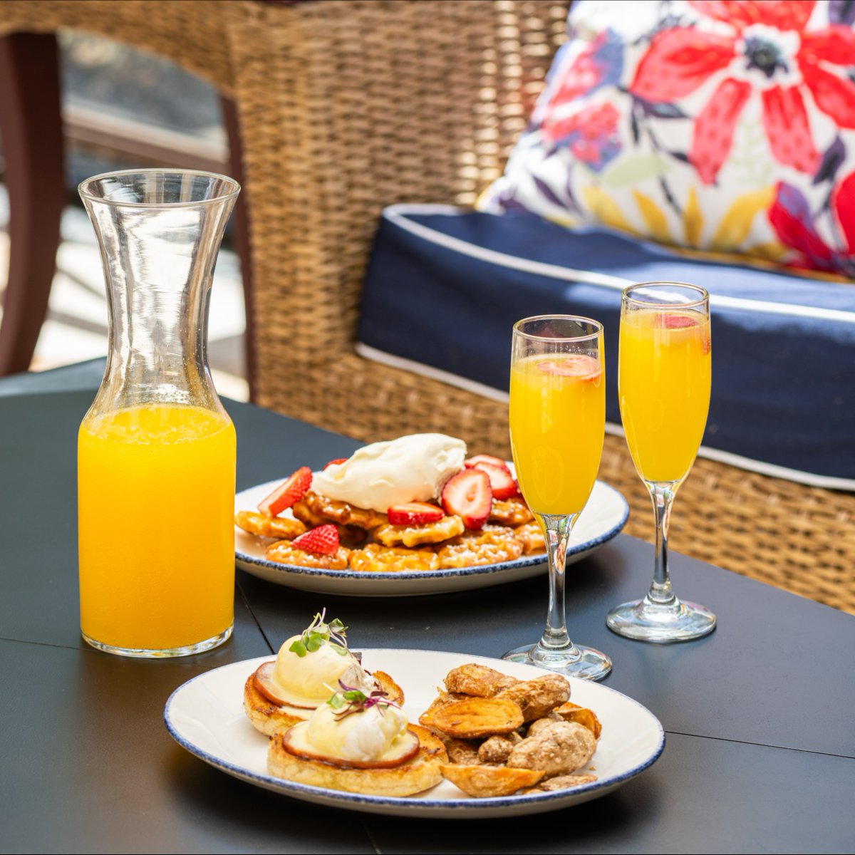 BrioItalian's tweet photo. Weekend brunch, fresh air, and your favorite table awaits ✨ Join us on the patio for Eggs Benedict, Berries &amp; Cream Waffles, and a brunch made to savor.

#BrioItalianGrille #WeekendBrunch #PatioDining #BrunchPlans #ItalianDining https://t.co/Xd1y6AFKbw