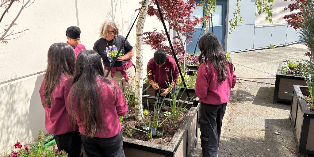 AbbotsfordSD's tweet photo. 🙌 Celebrating Dayle Thiessen from Abbotsford Traditional School, a Teacher Champion with @bcaitc! 

🌱 Discover how her hands-on approach fosters food literacy and environmental awareness in students. Learn more about her impactful work: https://t.co/CUXCzLV1FI

#Abbyschools https://t.co/xPESxDZP16