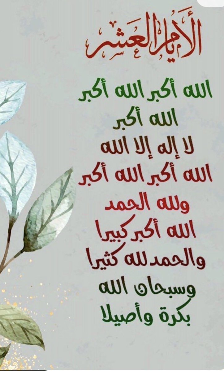 فاطمة عسيري tweet media