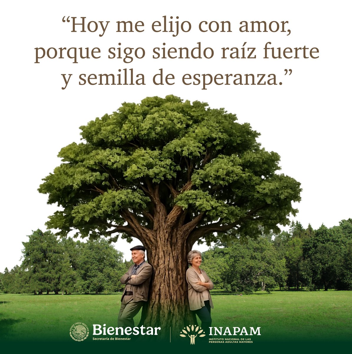 INAPAM's tweet photo. En cada #Amanecer #Reconoce tu #PoderInterior. Eres resiliencia y futuro. ¿Qué te hace sentir así hoy? 🌱🪴 💚 https://t.co/RLiKs0NSkp