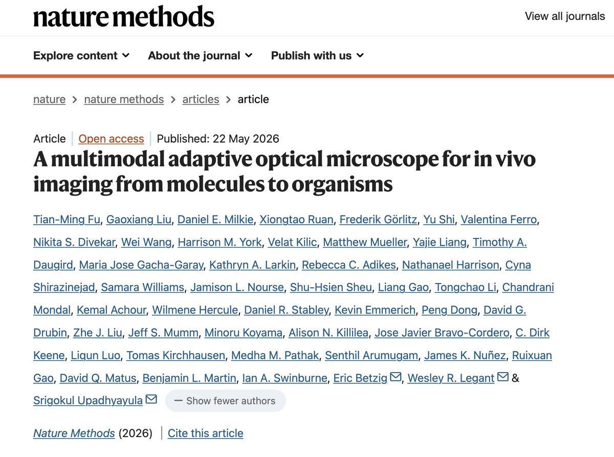 Bravo-Cordero Lab tweet media