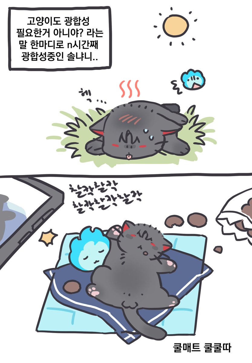 유룩 tweet media