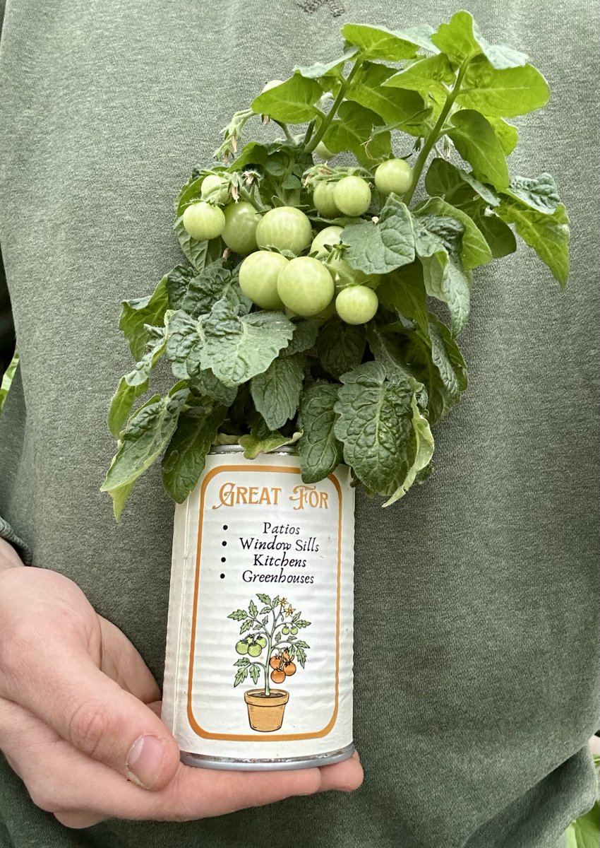 Heirloom Grown tweet media