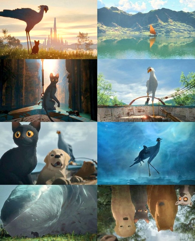 CINEMA 505 tweet media