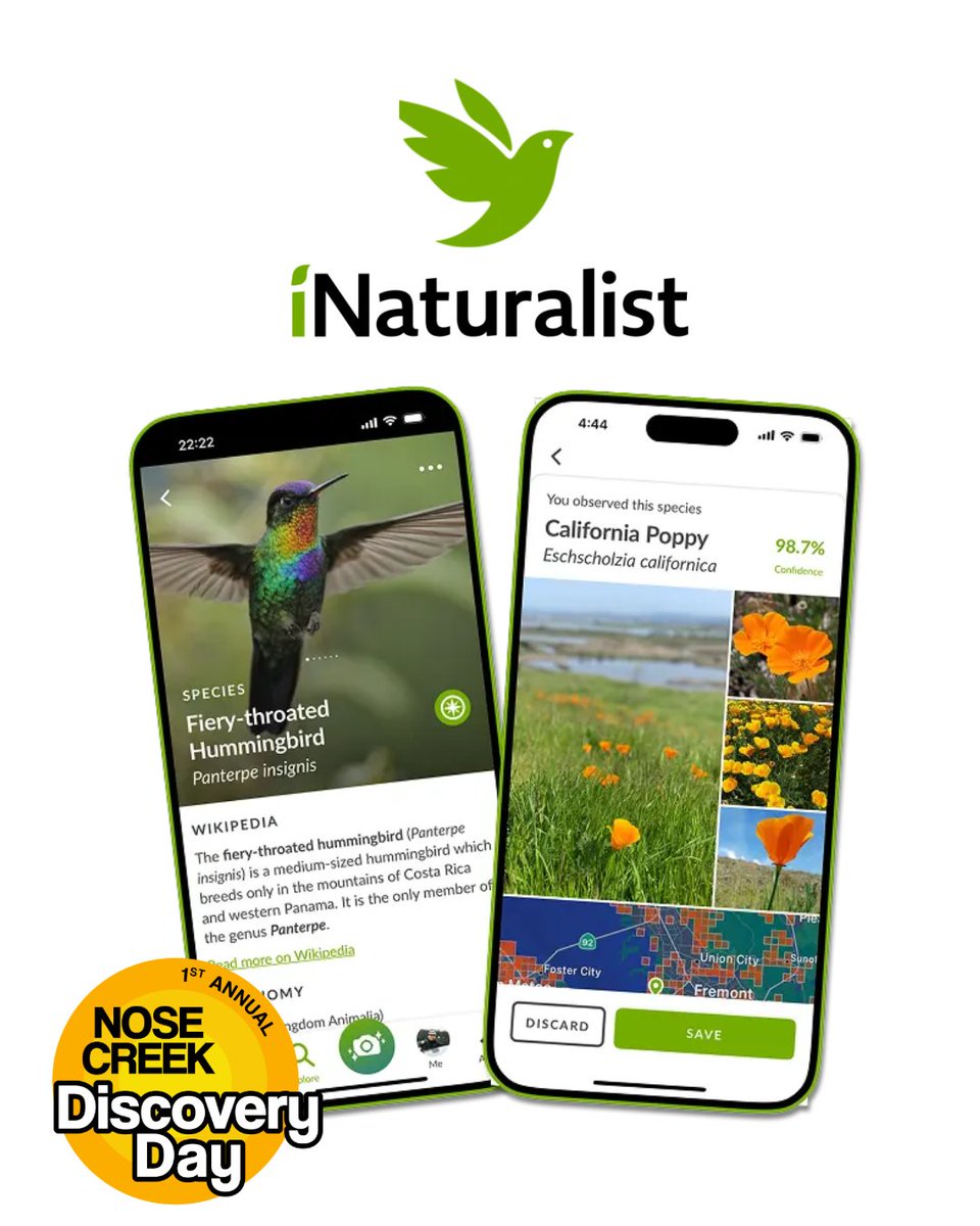 savenosecreek's tweet photo. Have you heard of @inaturalistorg ? Your curiosity can contribute to science. Identify plants, animals, fungi, and more while adding to a living atlas of life on Earth. 

Download it today and when you come on Sunday, we'll show you how to use it! https://t.co/ShQjxJ9VBk