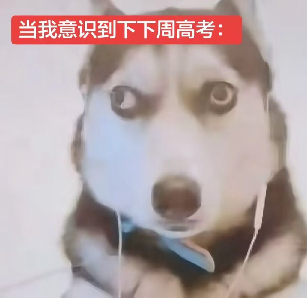 小会 tweet media