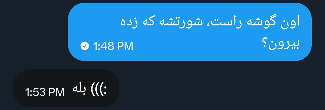 •روجا• tweet media