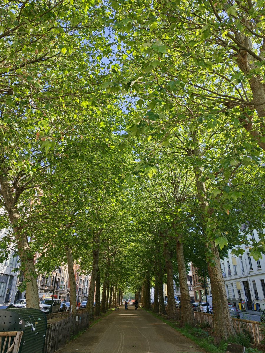 eldiones's tweet photo. @OPPOBelgium @OPPONederland And obviously the camera system is phenomenal. Photos are rich in detail, dynamic range is outstanding, and the zoom capabilities are astonishing. From landscapes to portraits and low-light shots, the X9 Ultra produces professional-looking results. @OPPOBelgium @OPPONederland https://t.co/PRBrjJhC0p