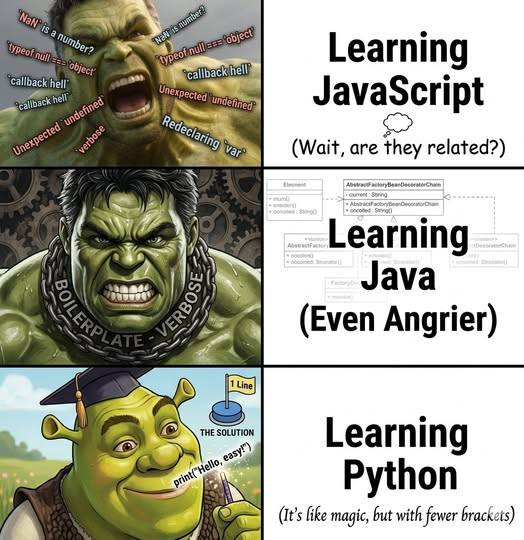 Python Programming tweet media