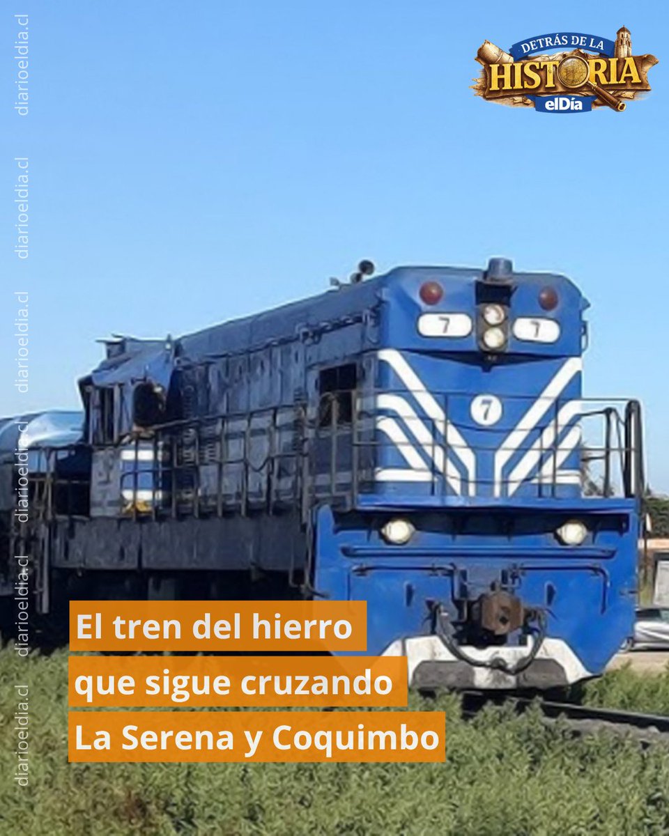 Diario El Día tweet media
