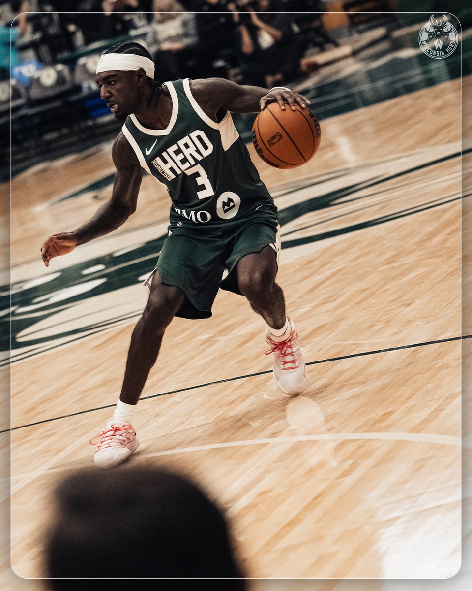Wisconsin Herd tweet media
