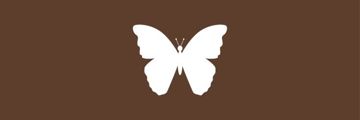 عين ماء في الجنة.💚 tweet media