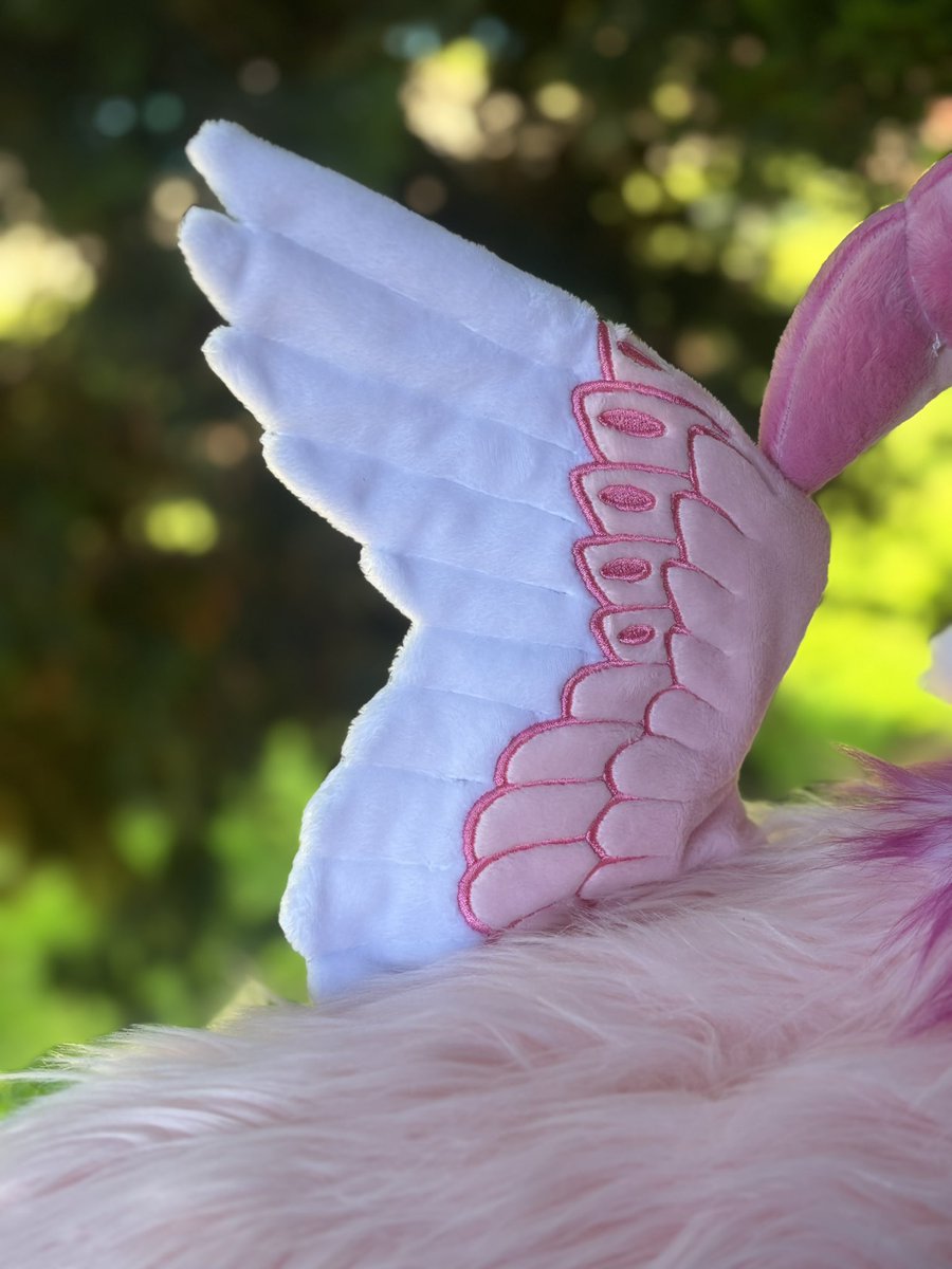 CirquellCurios's tweet photo. Here is our newest rose themed goat! They are currently looking for a home! Link in bi0 https://t.co/D9sL3DVCuX