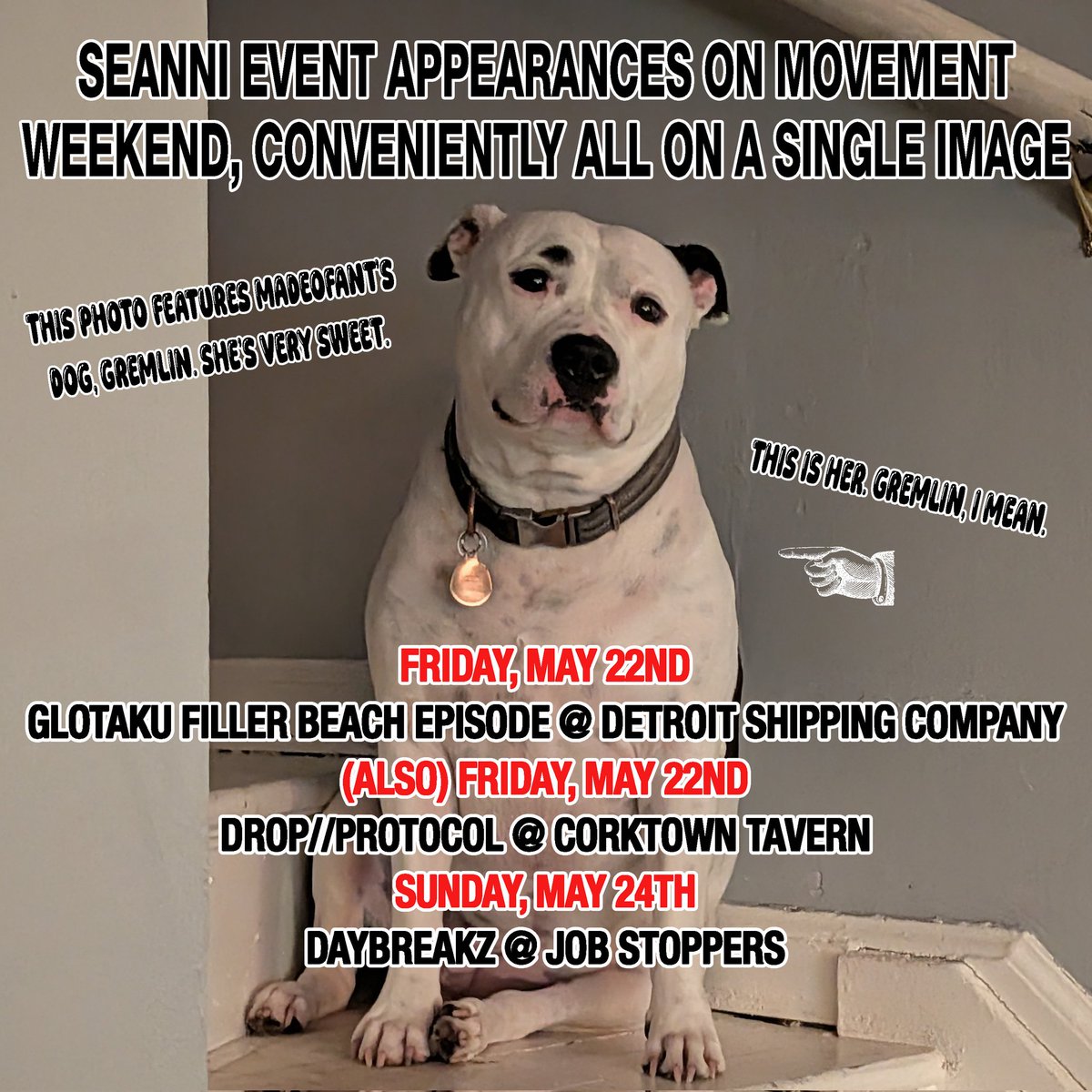 Seanni_B's tweet photo. Movement 2026 festival weekend shooowz https://t.co/qFtZP3X8eL
