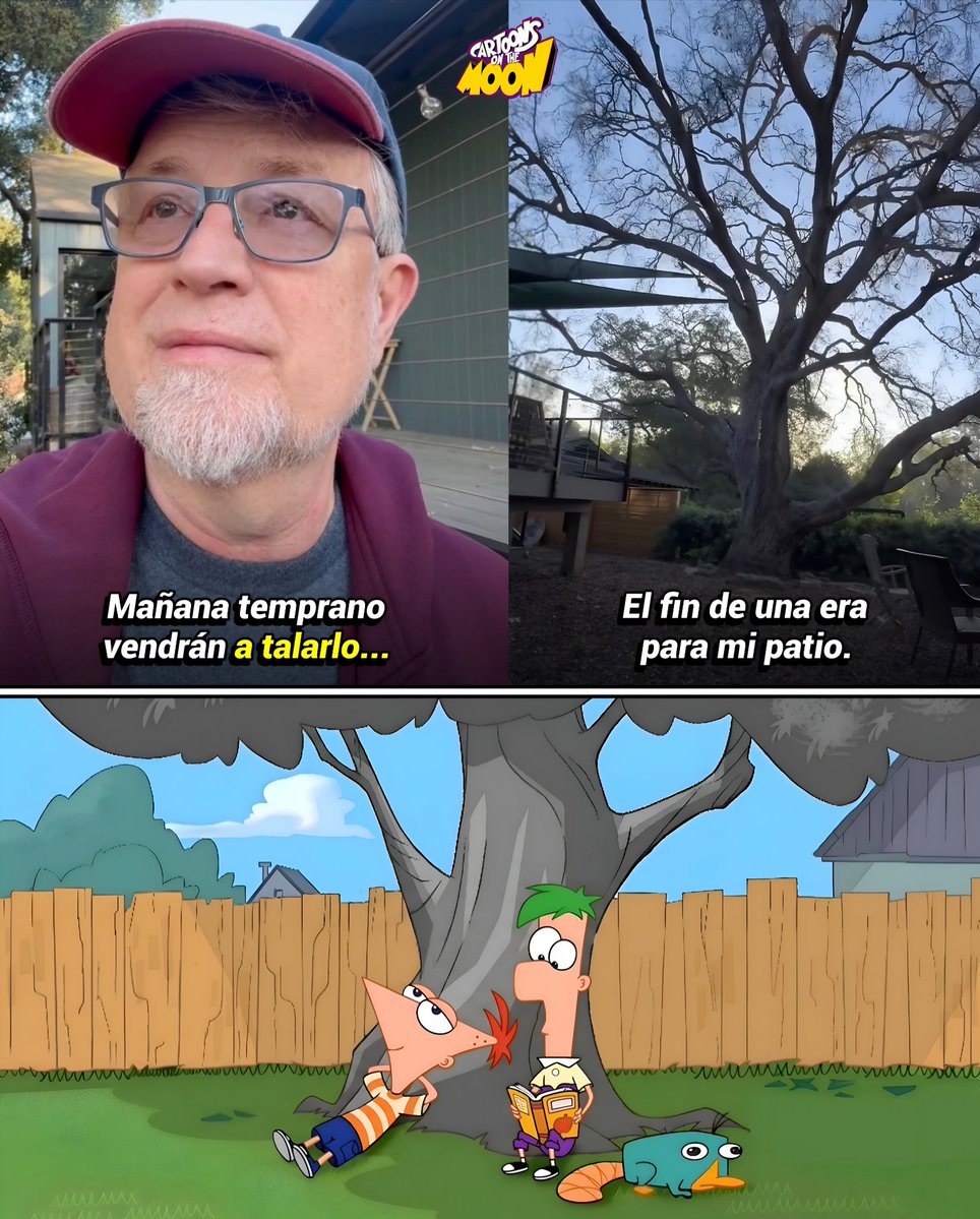 Cartoons On The Moon tweet media