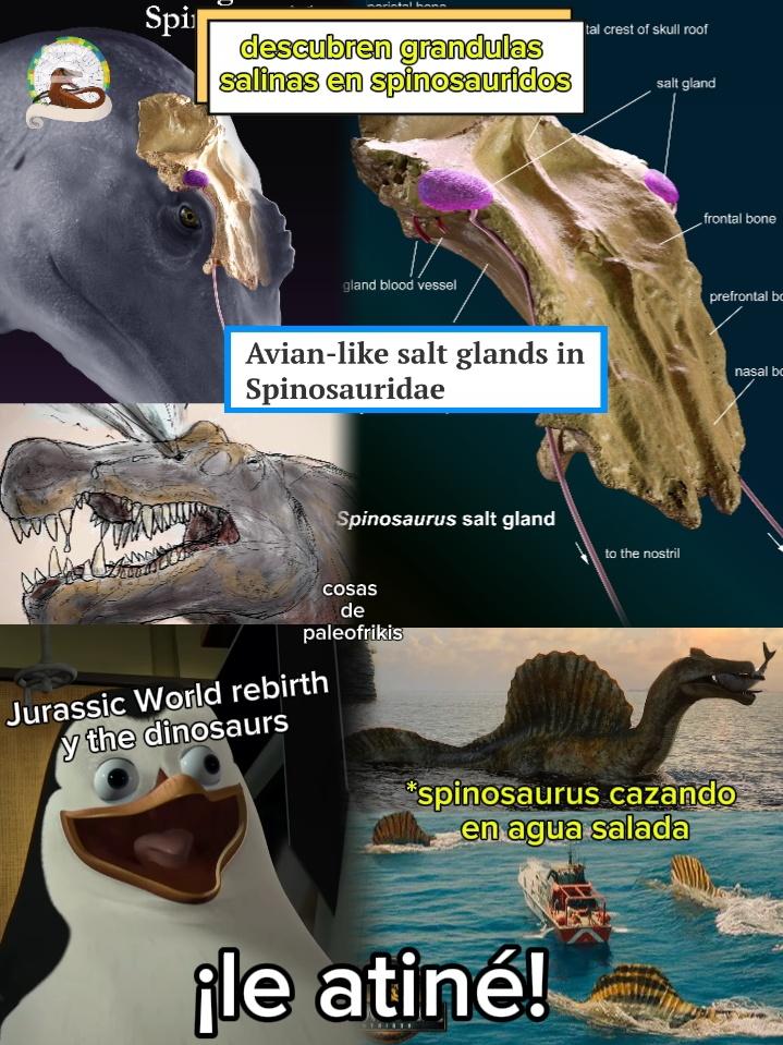 cosas de paleofrikis tweet media