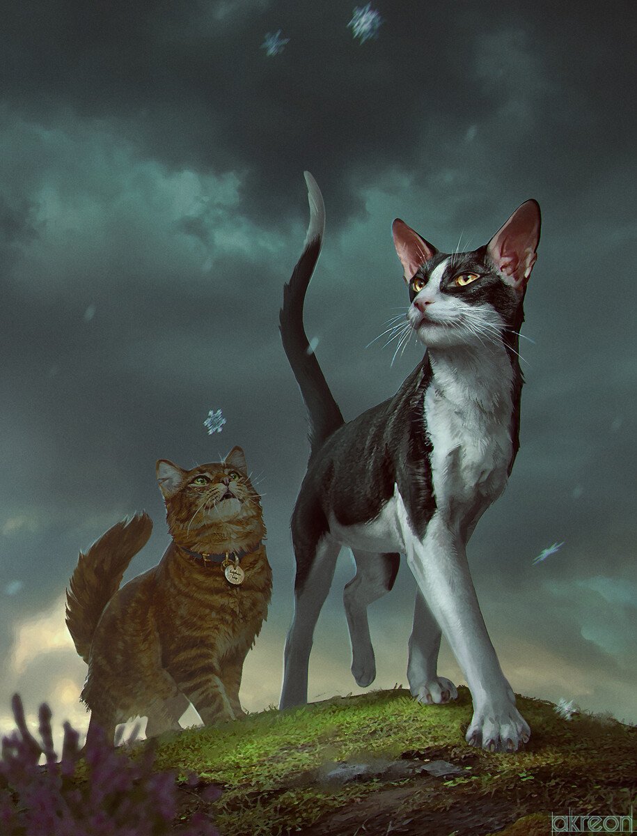 daily warrior cats pairs! tweet media