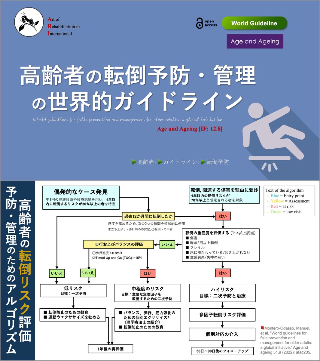 Legacy of Ari💡 “高齢者の転倒予防・管理の世界的ガイドライン” 2024