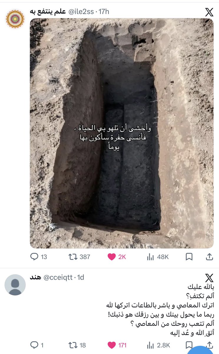 Sara tweet media