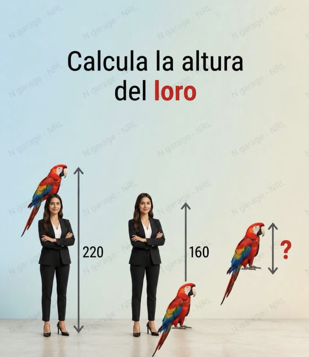 Diego Royet tweet media