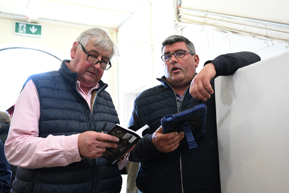 Tattersalls Ireland tweet media