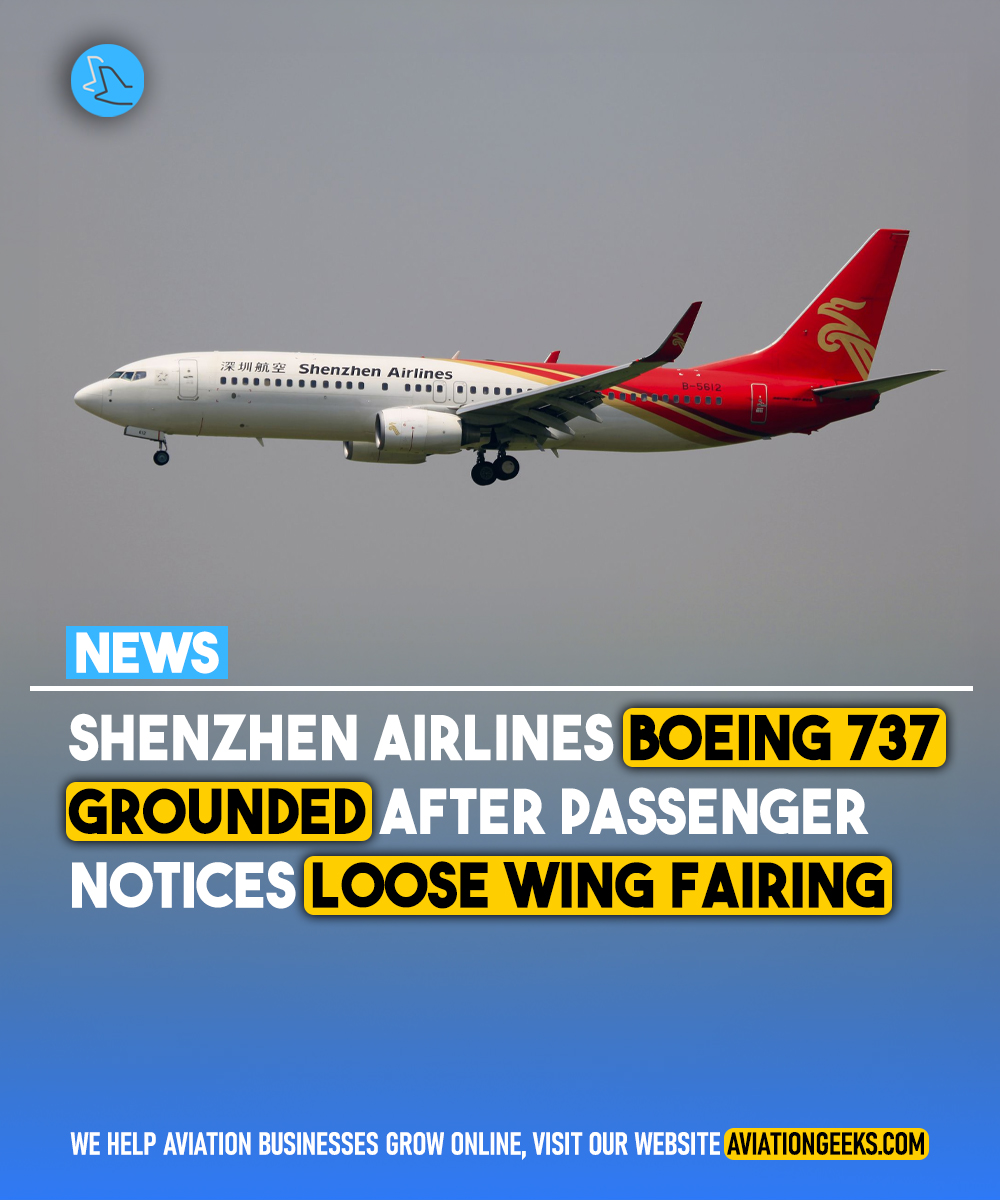 A Shenzhen Airlines @Boeing 737‑800 was briefly grounded after a