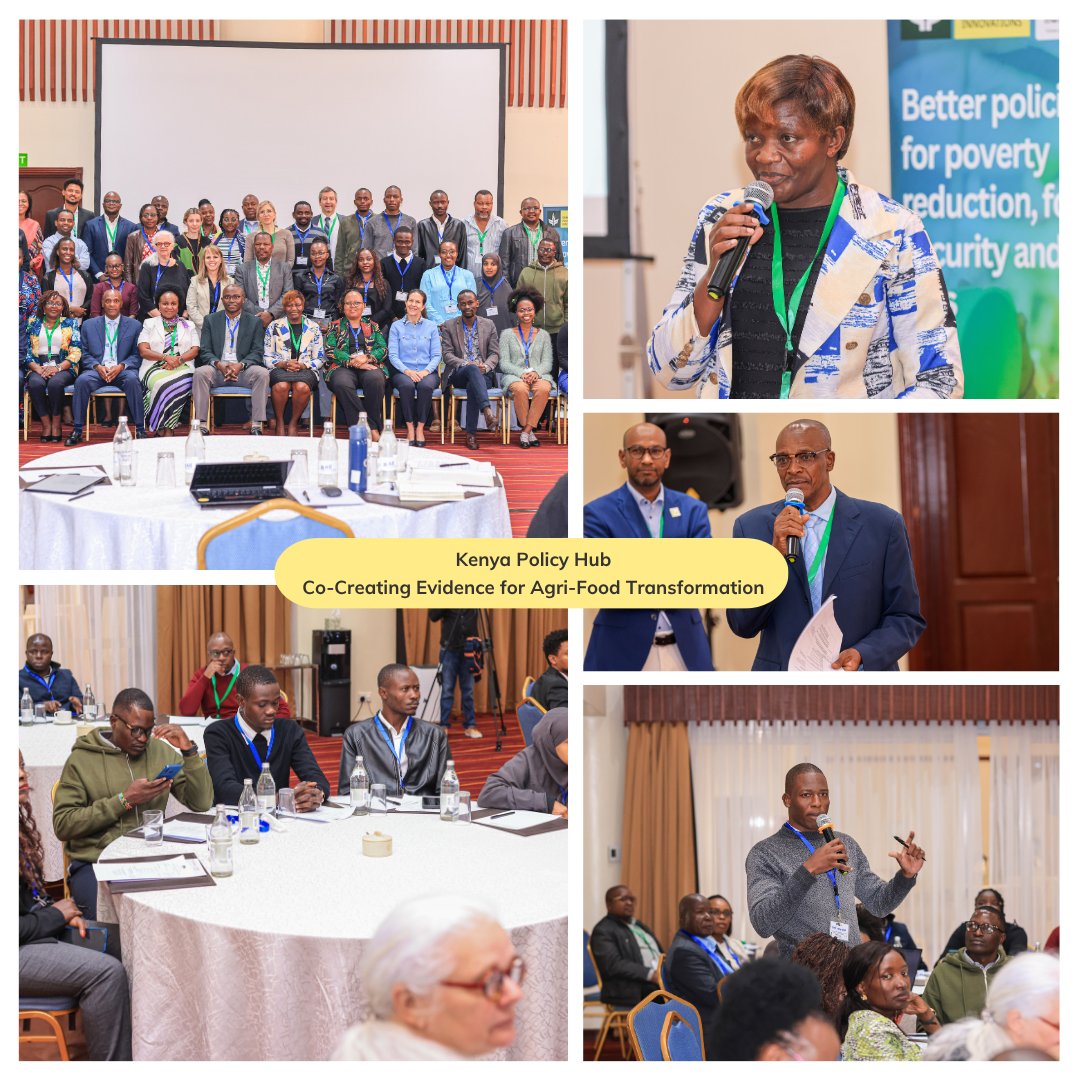 CGIAR Policy Innovations tweet media
