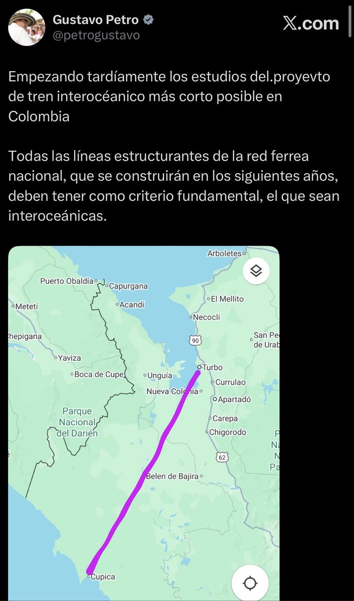 Caroladino 🦒♥️ tweet media