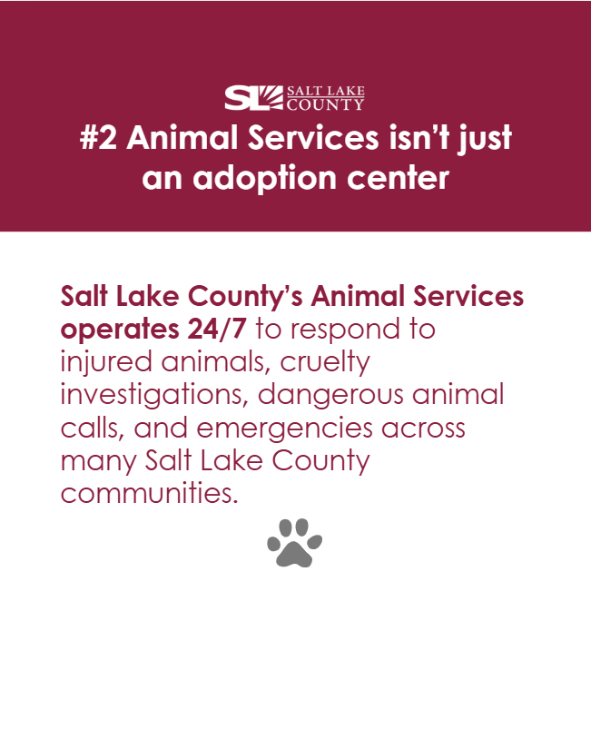 Salt Lake County Council tweet media