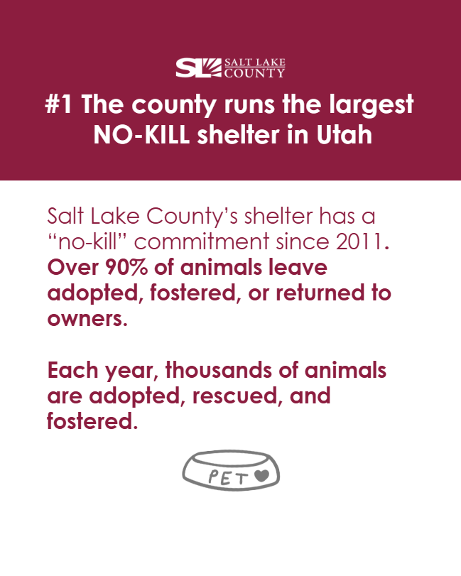 Salt Lake County Council tweet media