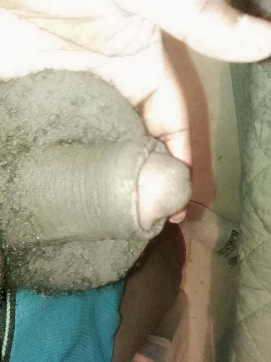 Quasar Blogstar tweet media
