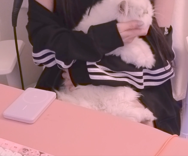 NekoNeko (@neko92688297) / Posts / X