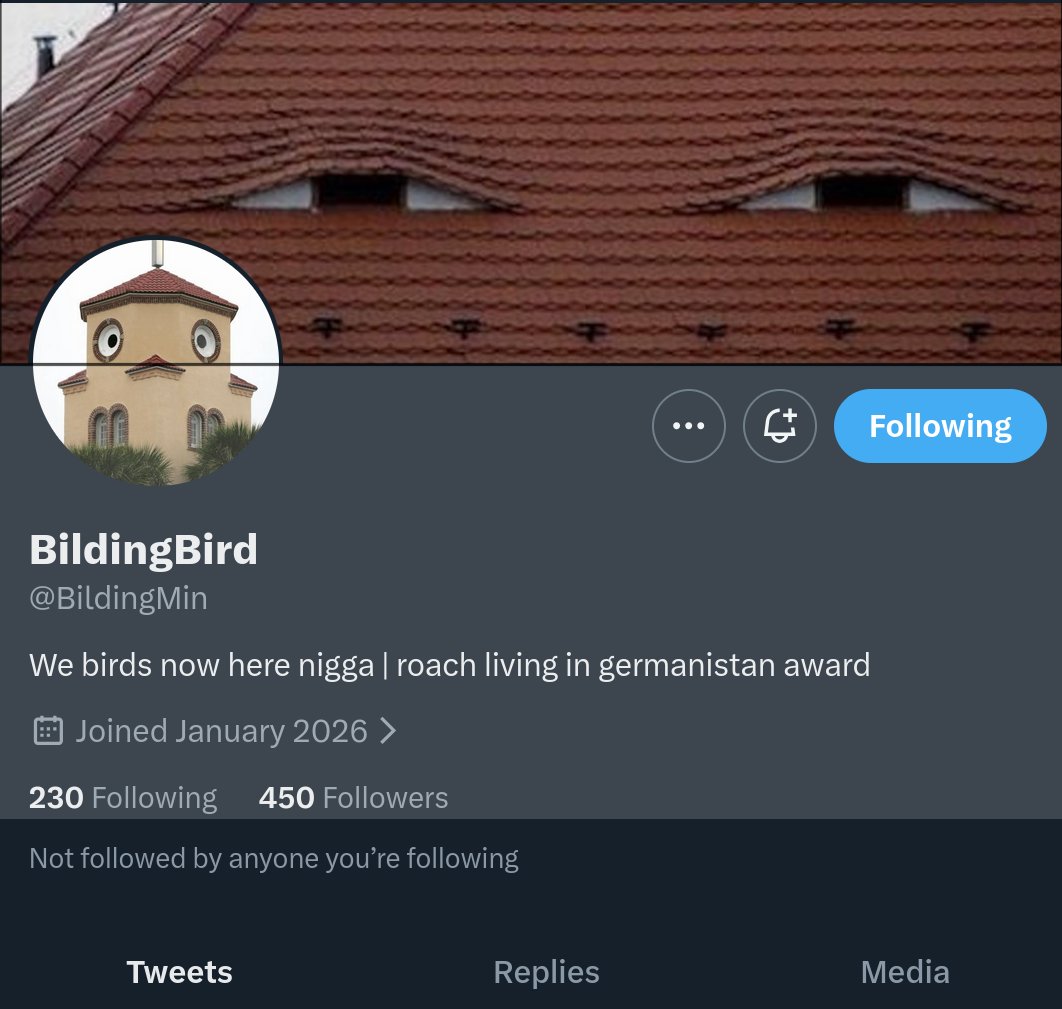 PareidolicBuildingNigga tweet media