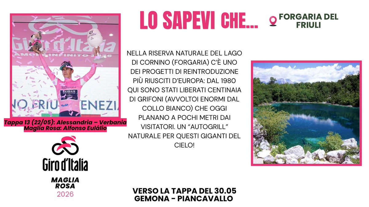 TurismoFVG tweet media