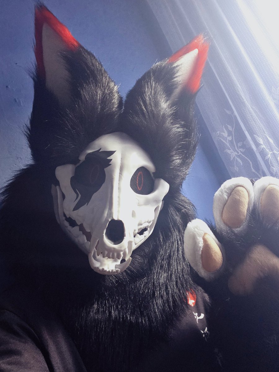 NightFox tweet media