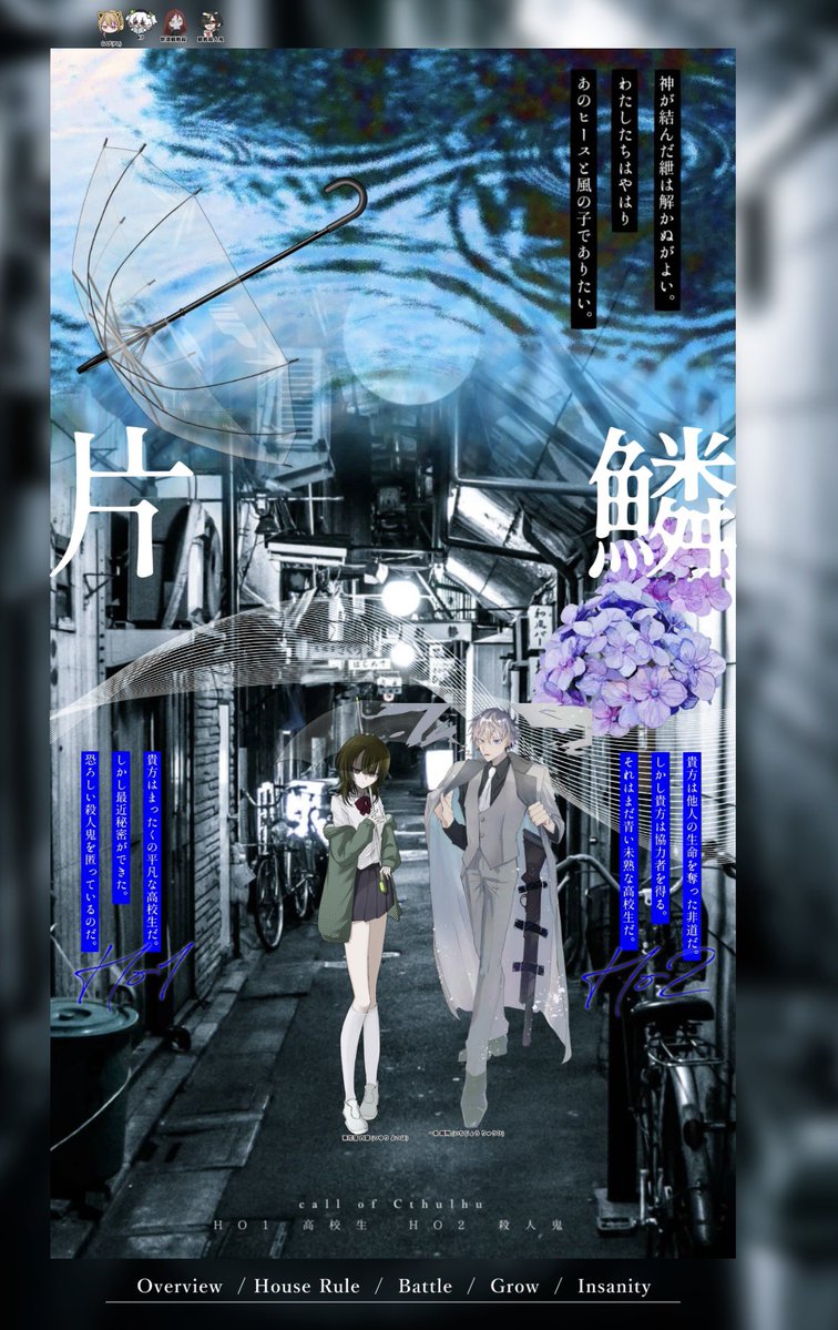 筝々 tweet media