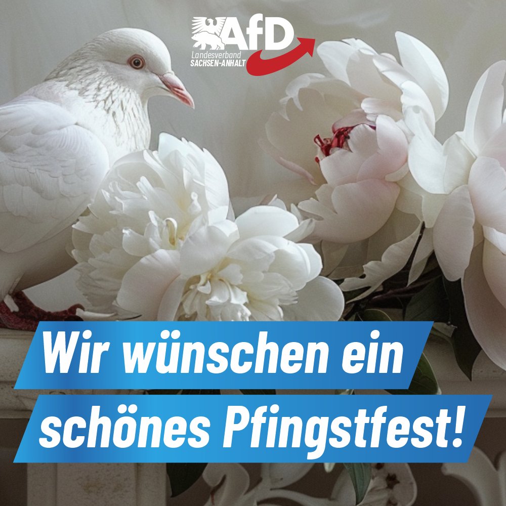 AfD Sachsen-Anhalt tweet media